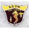 Vietnam 257th Medical Dental Pocket Patch