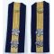 ​WWII Imperial Japanese Navy LTJG Shoulder Boards