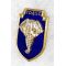 Vietnam 4th Montagnard Battalion Drago Badge