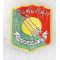 ​​Vietnam Era Laotian 208th Guerilla Battalion Patch