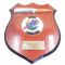 Vietnam US Air Force Spectre AC-130 Gunship Plaque
