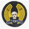 ​WWII AAF 5th Bomb Group Squadron Patch