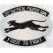 ​​​​1960's US Air Force 35th Tactical Fighter Wing Japanese Made Back Size Squadron Patch