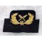 WWII Army Transport Service Yeoman Bullion Cap Badge