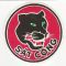 ARVN / South Vietnamese Army 1st Division Strike Company Patch