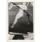 WWII AAF Toggle Annie Nose Art B-24 Photo
