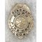 ​​​Dupo Illinois Volunteer Fire Department Company 2 Badge