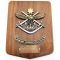 Commander Australian Force Vietnam Presentation Plaque