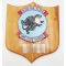 VA-153 Blue Tail Flies Plaque