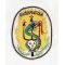 Vietnam 3rd Battalion 21st Infantry BUSHMASTER Pocket Patch