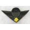 ​Vietnam Era Cambodian / FANK Army Airborne Jump Wings.