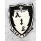 ​Vietnam US Air Force 22nd Special Operations NIGHT FIGHTER Squadron Patch
