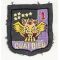 ​South Vietnam Marine Corps 1st Battalion Patch