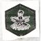 ARVN / South Vietnamese Regional Forces / Popular Forces Patch