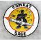 Vietnam US Air Force 1st Test Squadron F-4 COMBAT SAGE Squadron Patch