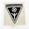 WWII German Freundschaft Deutsche Frauenwerk Patch
