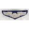 ​​1950's-60's US Air Force Aircrew Made In Japan Bullion Wings