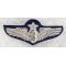 1950's-60's US Air Force Senior Flight Surgeon Made In Japan Bullion Wings