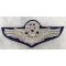 ​1950's-60's US Air Force Command Pilot Made In Japan Bullion Wings