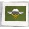 Vietnam Era Laotian FANK Airborne Jump Wing Patch
