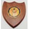 WWII era US Army Named 9th Medical Battalion Plaque