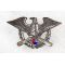 Korean War 8240th AU UNPIK Numbered Salamanders Badge