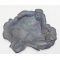 Russo-Japanese War Anti-Russian Ash Tray