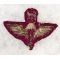 ​WWII Indian Airborne Wing Italian Made