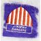 ​WWII Jingpaw Rangers Patch
