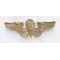 WWII - Late 1940's Nationalists Chinese / KMT Para Commando Wing