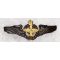​Shah Period Iranian Air Force Pilot Wing