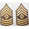 Korean War era Women's Taupe First Sergeant Rank Chevrons