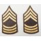 ​Korean War era Women's Taupe Master Sergeant Rank Chevrons