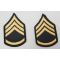 ​Vietnam War era Women's Staff Sergeant Rank Chevrons
