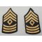 Vietnam War era Women's First Sergeant Rank Chevrons