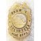 Oramel New York Volunteer Fire Department Badge