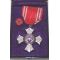 Japanese Cased Red Cross Merit Medal