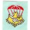 Airborne Support Battalion Supply Company Patch SVN ARVN