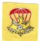 Airborne Support Battalion Maintenance Company Patch SVN ARVN