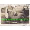 WWII Japanese Army Vehicle With Signed Flag Attached To Grill Photo