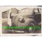 WWII Japanese Army Vehicle With Signed Flag Attached To Grill Photo