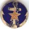 WII Or Before Japanese Veteran's Association Badge