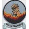 Late 1940's - 50's VF-71 Squadron Patch