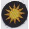 40th Division Cap Patch