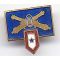 Coastal Artillery Son In Service Pin