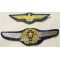 Japanese Army Aviation Pilot & Recon Wing Patch Set